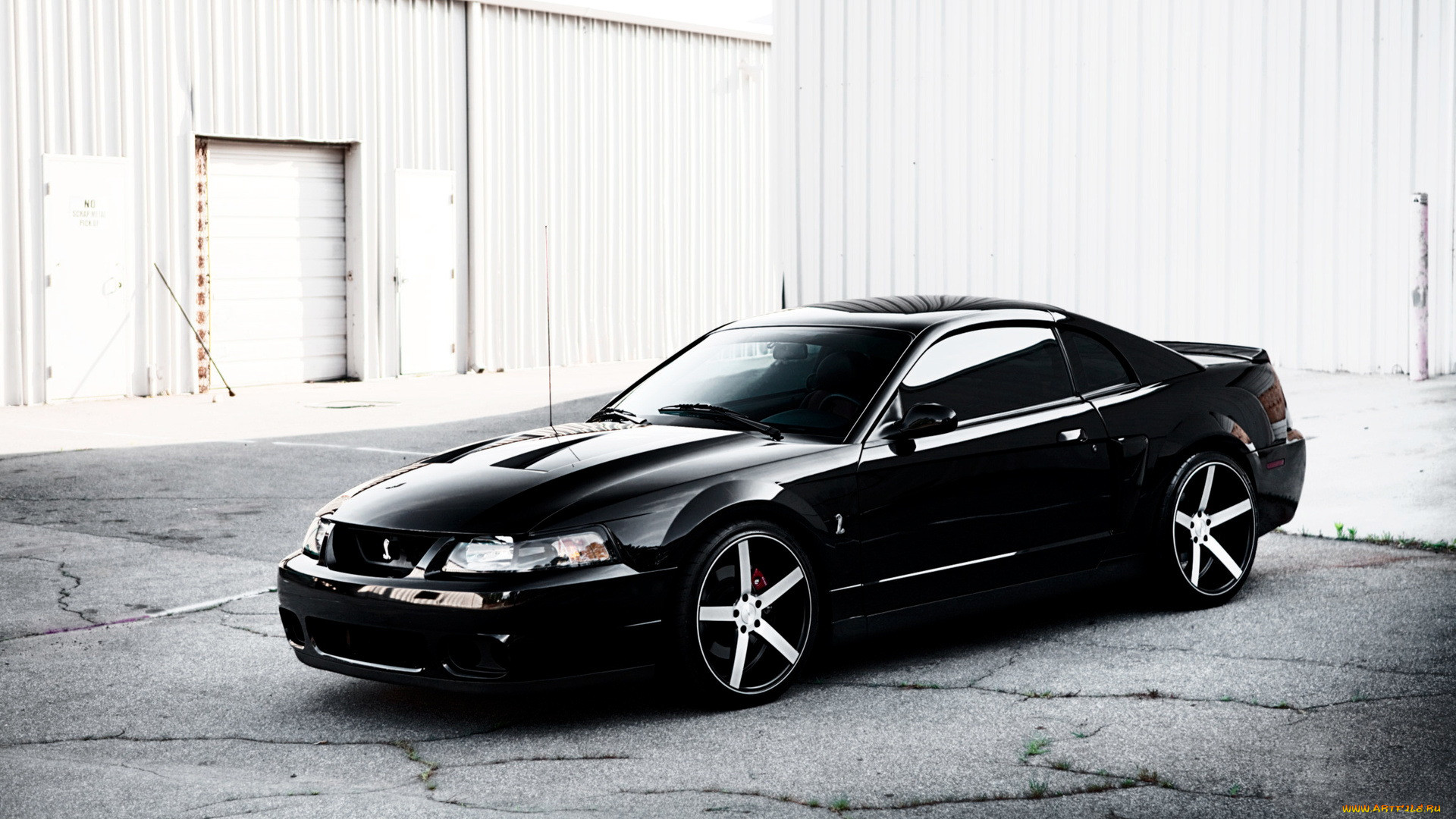 mustang, , , , , 